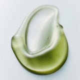 Phyto Brew Matcha Ampoule