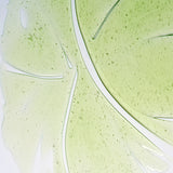 Herbalism Shampoo