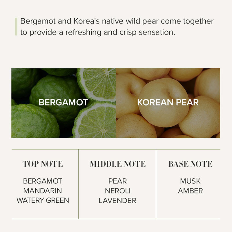 Seoul Edition Hand Cream Trio Set